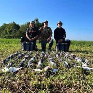 Meet your Posher, Connor